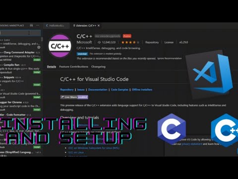 setting up visual studio for c++ mac